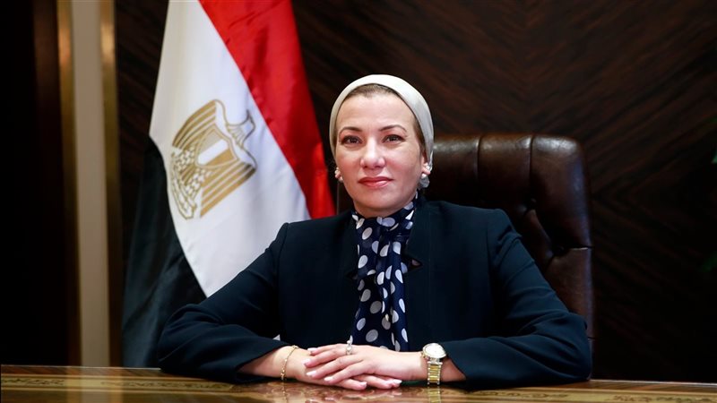 الدكتورة ياسمين فؤاد