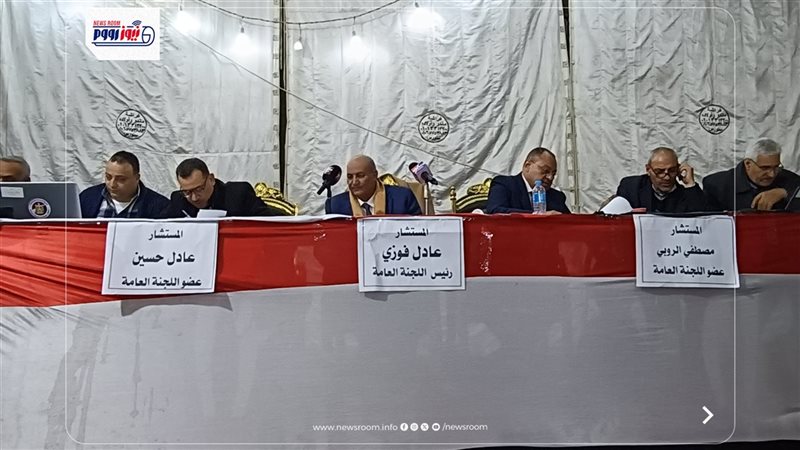 اللجان العامة 