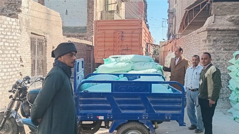 ارشيفية