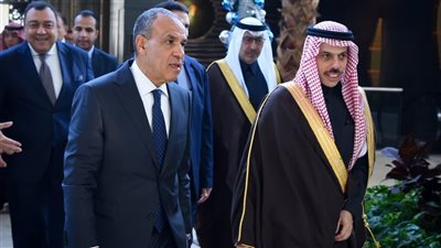 مباحثات حاسمة بين مصر والسعودية حول غزة واليمن والسودان