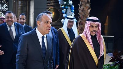 مباحثات ممتدة بين وزيري خارجية مصر والسعودية تعكس تنسيقا استراتيجيا.. تفاصيل