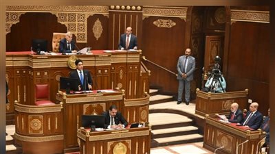  بحضور محمود فوزي.. مجلس الشيوخ يستكمل مناقشة قانون الضريبة على العقارات اليوم