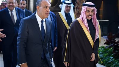 أحمد سيد أحمد: اللقاء المصري السعودي يعكس ثقل البلدين ودورهما المحوري 