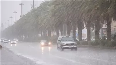 مائل للبرودة صباحا وليلا ومعتدل نهارا.. الأرصاد تكشف طقس اليوم في قنا