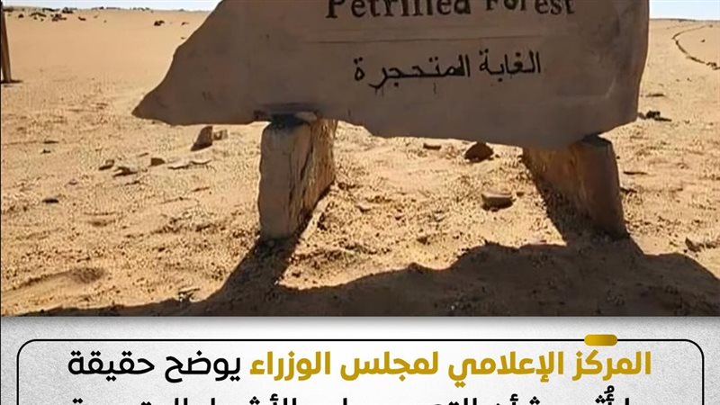 انفوجراف المركز الاعلامي