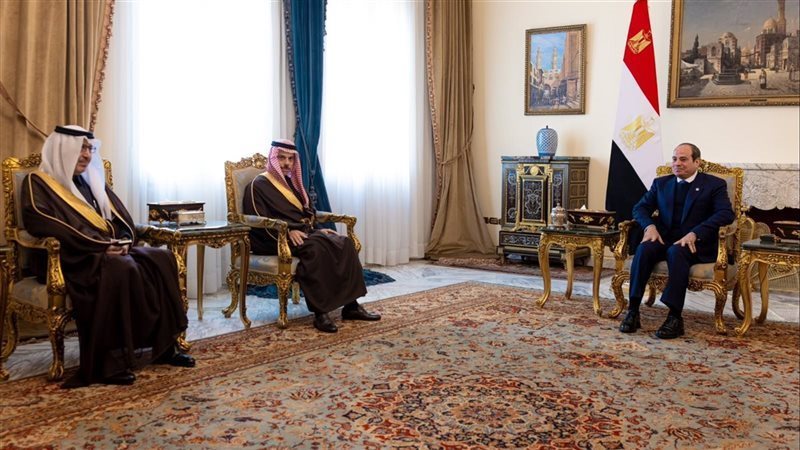 لقاء الرئيس السيسي