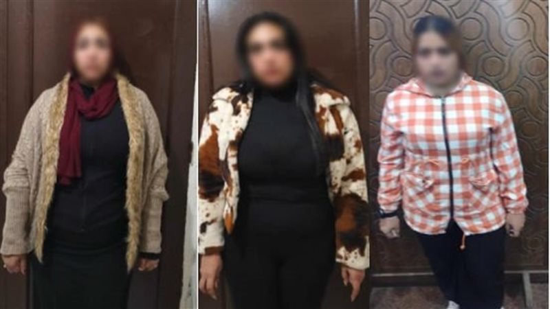 شبكة الدعارة