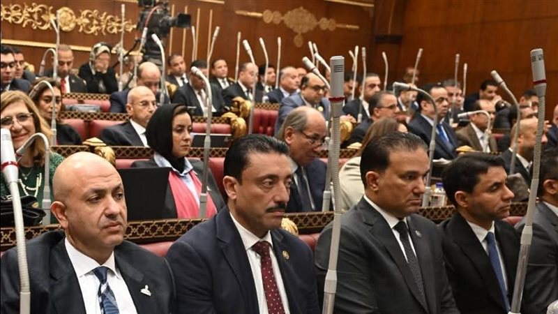 جانب من مشاركة النائب