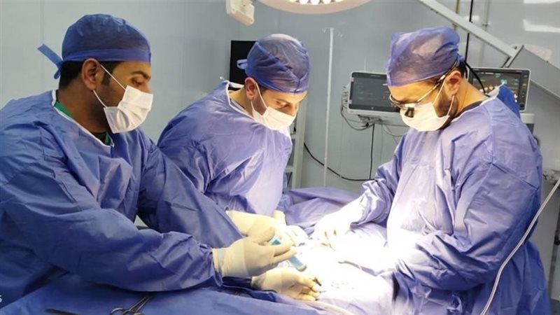 طاقم العمل 