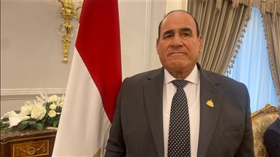 “البسنديلي”: رسالة الرئيس في عيد الميلاد تؤكد أن الوعي المجتمعي هو خط الدفاع 