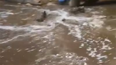 غرق طفل ببحر يوسف أمام السواقي في الفيوم.. والإنقاذ النهري يبحث عن الجثمان 