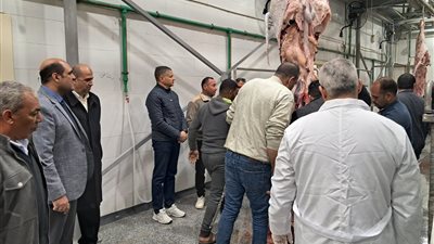 منال عوض: التشغيل التجريبى لـ 4 مجازر بعدة محافظات بتكلفة 129 مليون جنيه