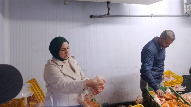 حملات تموينية بالقليوبية