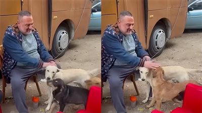 بيطبطب على الكلاب .. خالد الصاوي ينشر فيديو إنساني من كواليس التصوير