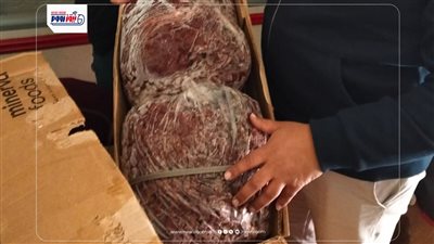 ضبط 100 كيلو لحوم عجينة حواوشي وكبده فاسدة وغير صالحة للاستهلاك الآدمي بالفيوم