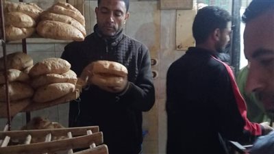 تموين المنوفية يحرر 336 محضراً ويضبط أطنان سكر وأسمنت مجهولة المصدر