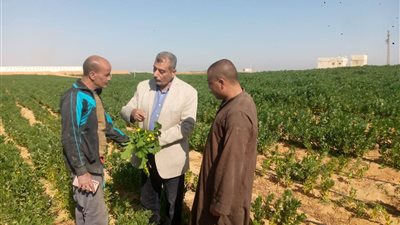 محافظ أسيوط يؤكد أهمية المتابعة المستمرة للزراعات ووكيل الزراعة يتفقد المحاصيل