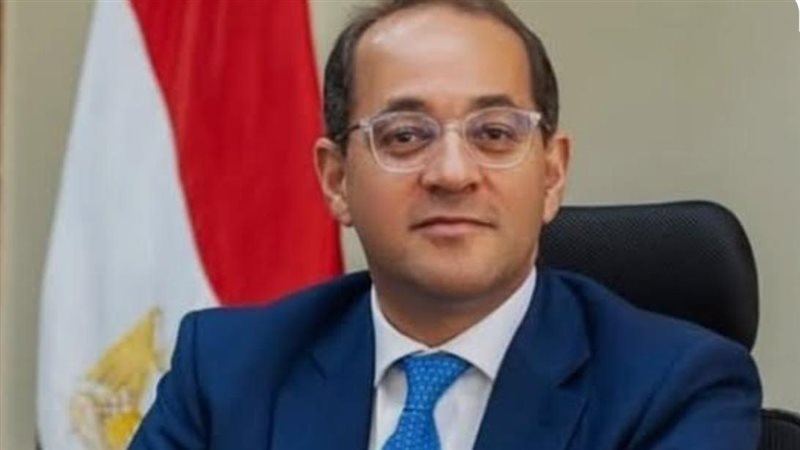 وزير المالية