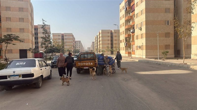 جانب من الحدث 