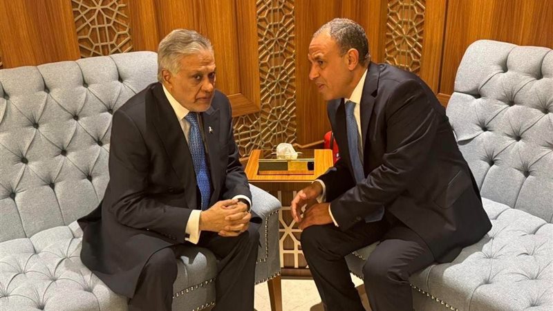 وزير الخارجية يلتقي