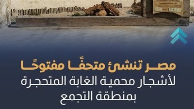 مصر تنشئ متحفا مفتوحا لأشجار محمية الغابة المتحجرة بالتجمع