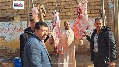 بيطرى المنيا: ضبط 252 كجم لحوم غير صالحة ولحوم مذبوحة خارج المجازر