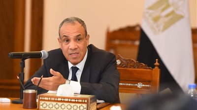 وزير الخارجية: اجتماع تعزيز جهود السلام في السودان جاء بتوجيهات الرئيس السيسي