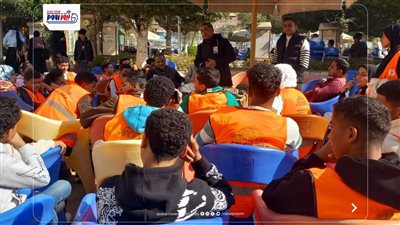 محافظة المنيا: حزمة من الدورات والبرامج التدريبية لتأهيل الشباب لسوق العمل 