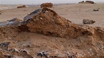 نيوز رووم يرصد ملامح محمية الغابة المتحجرة بعد جولة وزيرة التنمية المحلية| صور
