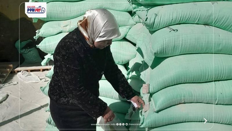 تموين المنيا 