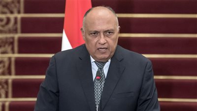 سامح شكري رئيسًا للجنة العلاقات الخارجية بمجلس النواب وأحمد أبو العلا أمين سر