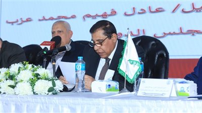 المستشار عادل فهيم عزب: تكليفي بالعضوية في مجلس النواب مسؤولية وطنية كبيرة