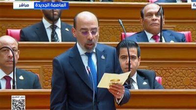 وائل سعدة يؤدي اليمين الدستورية عضوًا بمجلس النواب