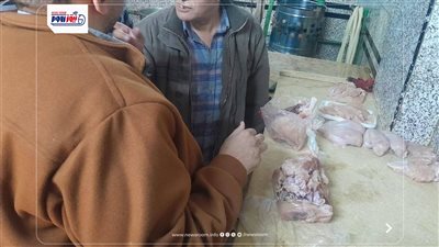 تموين المنيا: تحرير 259 مخالفة تموينية وضبط سلع مدعمة واستراتيجية قبل تهريبها 