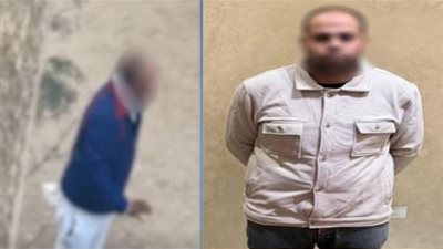 اعتراضا على إطعام الكلاب الضالة.. ضبط سائق تعدى بالسب على جيرانه في الجيزة
