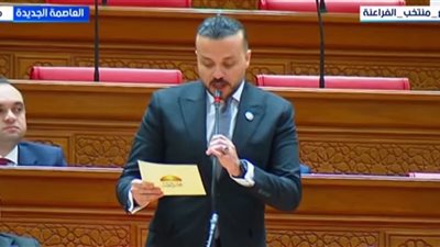 النائب محمد الجارحي رئيسا للجنة المشروعات المتوسطة والصغيرة ومتناهية الصغر 
