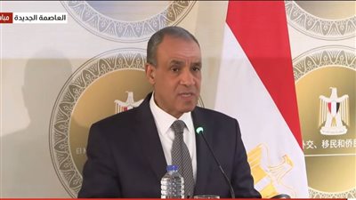 عبد العاطي يؤكد على دعم مصر لإجراء الانتخابات في ليبيا