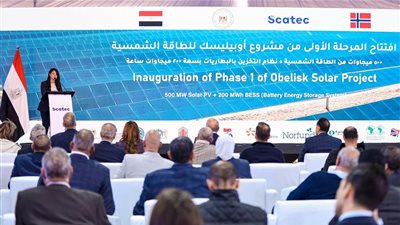 بتكلفة 17.5 مليون دولار.. رئيس الوزراء يفتتح خطًا جديدًا لإنتاج السلك بقنا