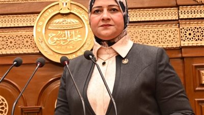 مروة قنصوه: الحكومة تضمن استقرار الأسواق وسلاسل الإمداد في ظل التوترات 