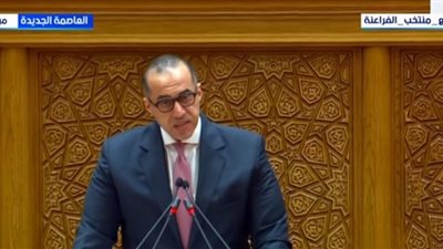 محمود فوزي: المرأة المصرية شريك أصيل في صناعة القرار منذ القدم