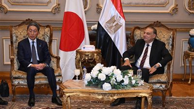 اجتماعات اللجان النوعية بمجلس الشيوخ: مناقشات تشريعية ودبلوماسية وثقافية