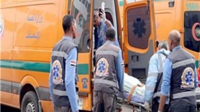 بالأسماء.. إصابة 6 أشخاص إثر انقلاب ميكروباص على طريق الملقة بالبحيرة