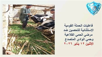 بيطري أسيوط يطلق حملة استثنائية لتحصين الماشية وتعزيز الأمن الغذائي