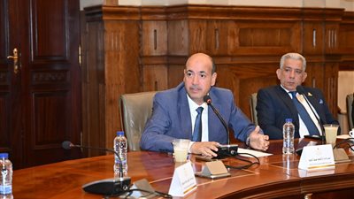 النائب أحمد سيد: قصور الثقافة تمثل ركيزة أساسية في دعم الإبداع واكتشاف المواهب