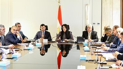 المشاط :  الشركات الناشئة المصرية تجذب تمويل 614  مليون دولار في 2025