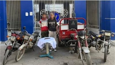 سرقات أدوية ودراجات وحديد.. التحقيق مع المتهمين في 3 قضايا سرقة بالقاهرة