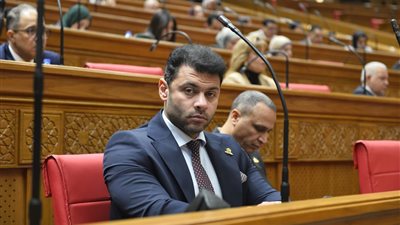  أحمد حلمي: لجنة الاقتراحات والشكاوى خط الدفاع الأول عن المواطن بالبرلمان