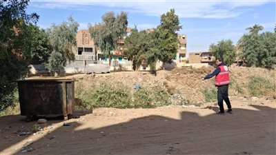 تحصين 33 كلبا ضالا في قنا ضمن خطة مواجهة الأمراض المشتركة