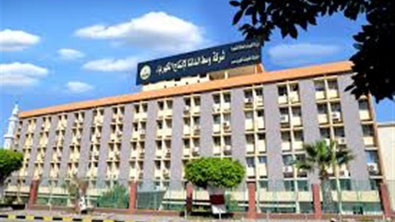شركة وسط الدلتا لإنتاج