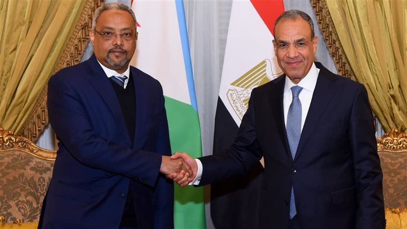 وزير الخارجية يلتقي